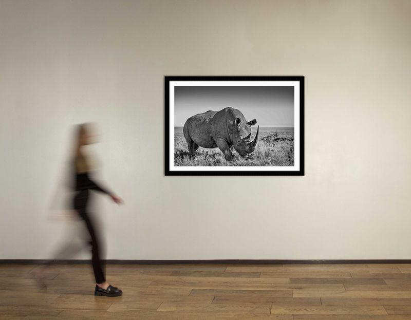 48 x 36 in., edition of 15